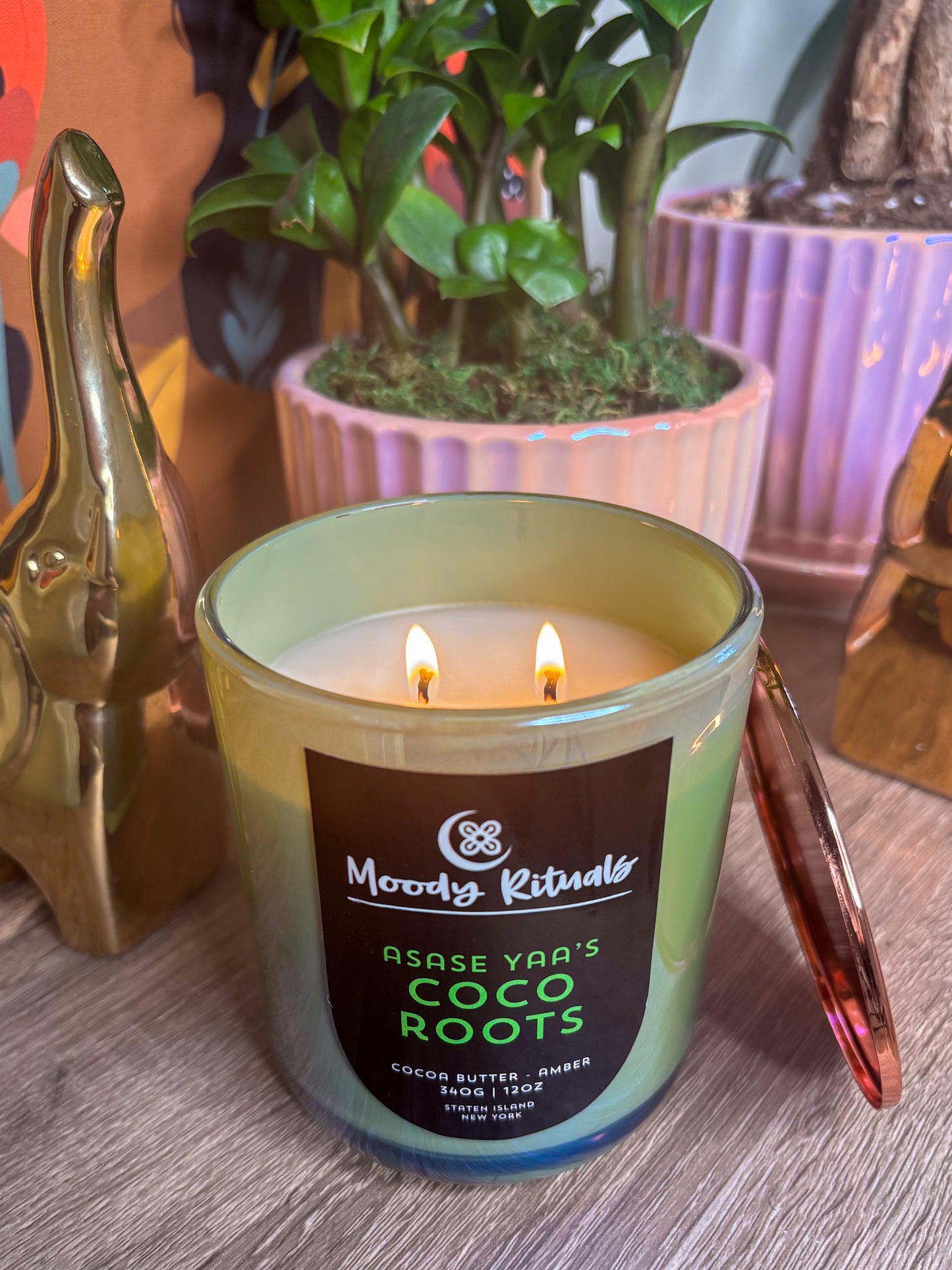 Asase Yaa's Coco Roots